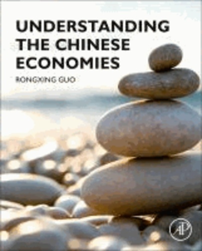 Understanding the Chinese Economies.