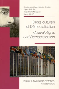 Droits culturels et démocratisation