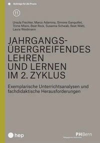 Jahrgangsübergreifendes Lehren und Lernen im 2. Zyklus (E-Book)