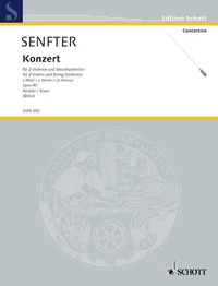 Concerto en ut mineur