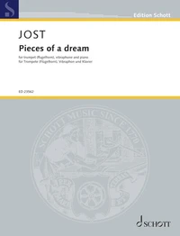 Pieces of a dream