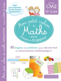 Mathématiques CM2