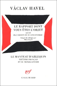 Le rapport dont vous êtes l'objet suivi de Plus moyen de se concentrer !