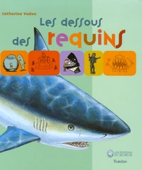 Les dessous des requins