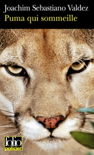 Puma qui sommeille
