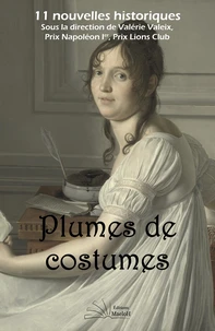Plumes de costumes