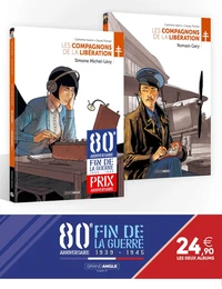 Pack en 2 volumes : Simone Michel-Lévy ; Romain Gary