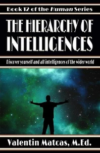 The Hierarchy of Intelligences