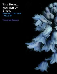 The Small Matter of Snow