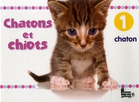 Valérie Crate - Chatons et chiots.