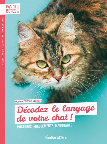 Décodez le langage de votre chat !. Postures, miaulements, marquages...