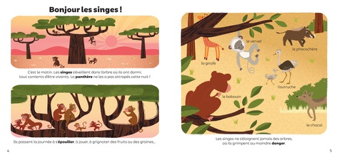 Les animaux de la savane