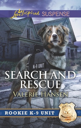 Valerie Hansen - Search And Rescue.
