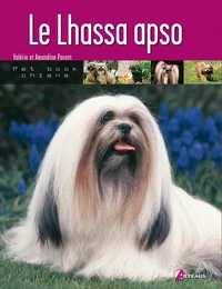 Le Lhassa apso