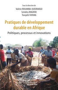 Valérie Rouamba-Ouédraogo et Seindira Magnini - Pratiques de développement durable en Afrique - Politiques, processus et innovations.