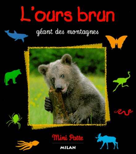 Valérie Tracqui - L'Ours Brun. Geant Des Montagnes.