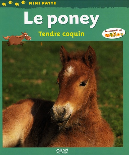 Valérie Tracqui - Le poney - Tendre coquin.