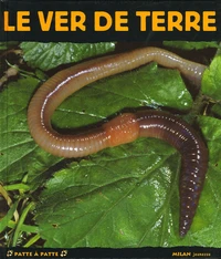 Le ver de terre