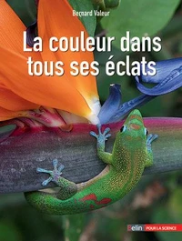 La couleur dans tous ses éclats