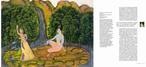 Ramayana. Illustré par les miniatures indiennes du XVIe au XIXe siècle, coffret 7 volumes