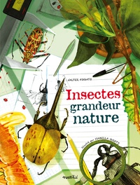 Valter Fogato et Isabella Grott - Insectes grandeur nature.