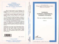 Normes, normes juridiques, normes pénales