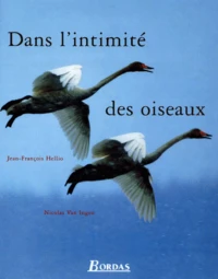 Dans L'Intimite Des Oiseaux