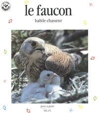 Le Faucon. Habile Chasseur