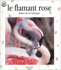 Le Flamand Rose. Prince De La Camargue