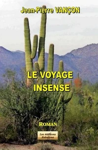 Le voyage insense
