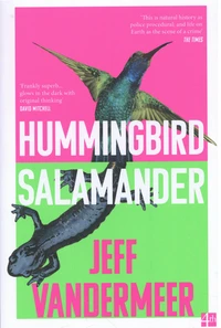 Hummingbird Salamander