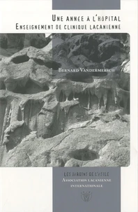 Une année à l'hôpital (2006-2007)