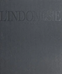 L'indonésie vue du ciel