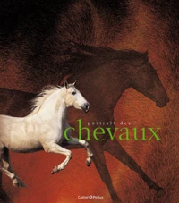 Portrait des chevaux