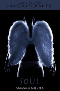 Memoirs of an Undercover Angel - Soul