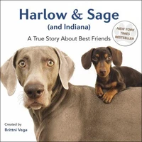 Harlow &amp; Sage (and Indiana)