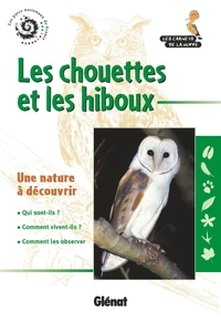 Les chouettes et les hiboux