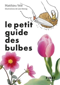Le petit guide des bulbes