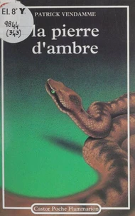La pierre d'ambre