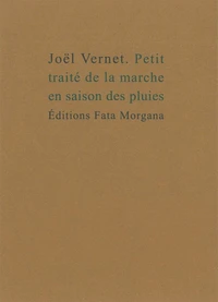 Petit traité de la marche en saison des pluies