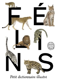 Félins