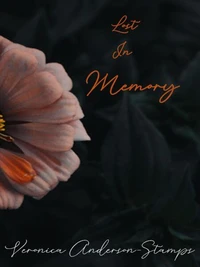 Lost in Memory