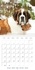 LE SAINT-BERNARD ET LES 4 BOULES DE POILS (Calendrier mural 2017 300 × 300 mm Square). Gardiennage de 5 animaux domestiques en pleine nature (Calendrier mensuel, 14 Pages )