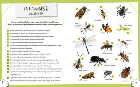 Les insectes. Jeux pour tout savoir