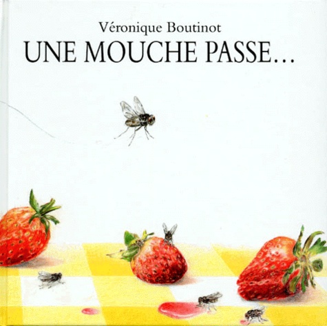 Véronique Boutinot - Une mouche passe.
