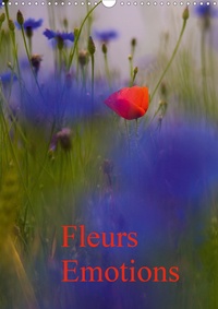 Véronique Leroy - CALVENDO Nature  : Fleurs émotions (Calendrier mural 2021 DIN A3 vertical) - Fragile beauté (Calendrier mensuel, 14 Pages ).