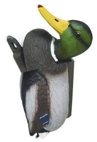 Kracauer - Photographic Archive