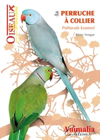 La perruche à collier
