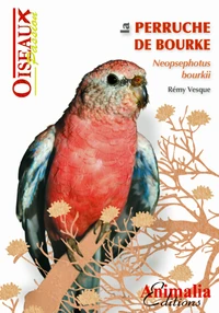 La perruche de Bourke