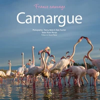 Camargue